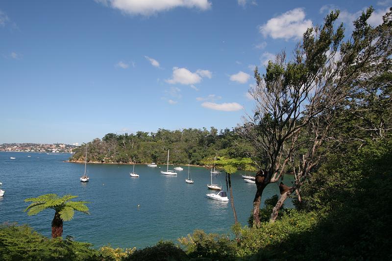 0299 Taylors Bay.JPG